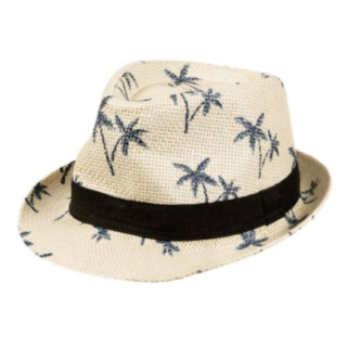 Hatt Palmønster