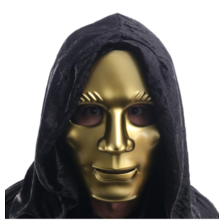 Anonymous Maske Gull