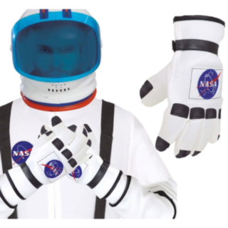 Astronaut Hansker
