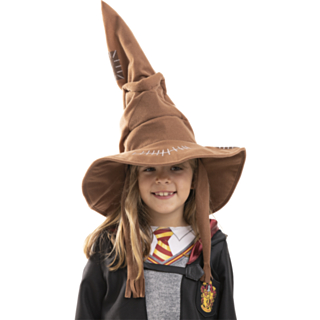Harry Potter® Sorteringshatten Barn