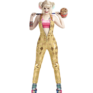 Birds Of Prey® Harley Quinn Kostyme