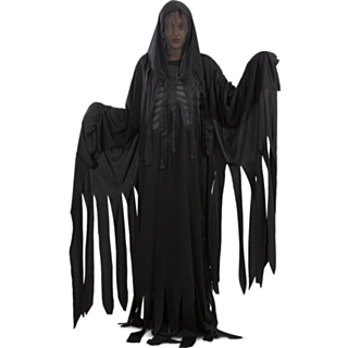 Harry Potter® Dementor Kostyme