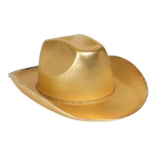 Cowboyhatt Gull
