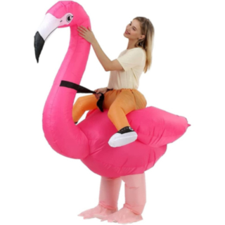 Oppblåsbar Flamingo Kostyme