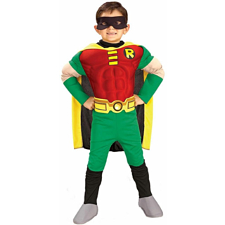 Teen Titans: Robin Deluxe Barnekostyme