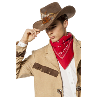 Cowboyhatt med Fjær