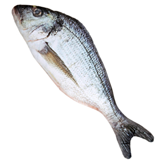 Kunstig Fisk