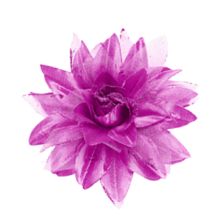 Tropisk Hårblomst Rosa og Lyserosa