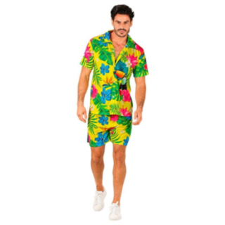 Tropisk Sommer Hawaiisett