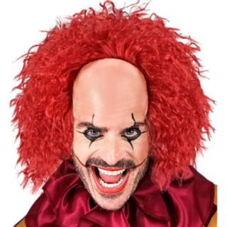 Horror Klovn Parykk & Panne