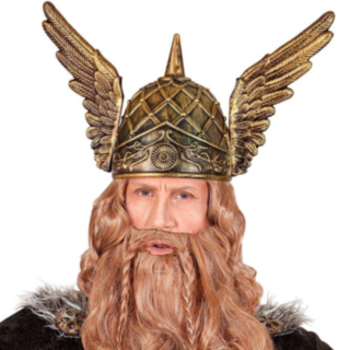 Viking Vinger Hjelm
