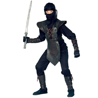 Ninja Mester Barnekostyme