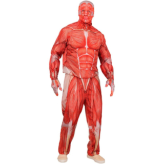 Anatomisk Mann Kostyme Rød