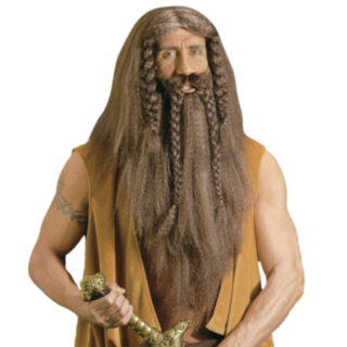 Langt Viking Skjegg & Parykk
