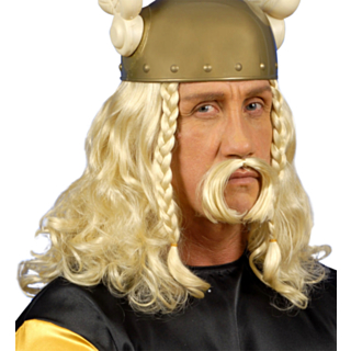 Asterix Parykk med Skjegg