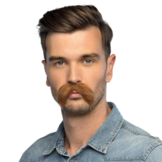 Brun Bart