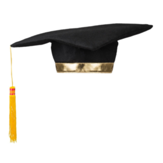 Studenthatt Svart og Gull