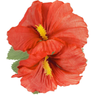 Hawaiiblomst Hårklype Rød