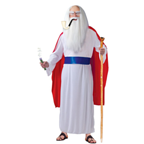 Trylledrikk Druide Kostyme