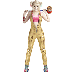 Birds Of Prey® Harley Quinn Kostyme