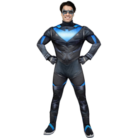 Gotham Knights® Nightwing Kostyme