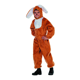 Hare Barnekostyme