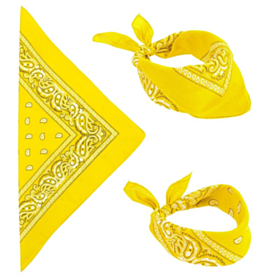Bandana Gul