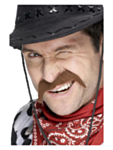 Cowboy Bart Brun