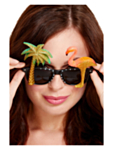 Hawaii Solbriller