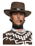 Western Cowboyhatt