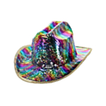 Paljett Cowboy Hatt Regnbue
