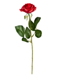 Rød Rose Langstilket