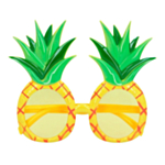 Ananas Briller