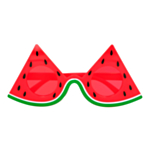 Vannmelon Briller