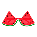 Vannmelon Briller