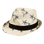 Hatt Palmønster