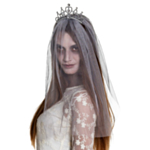 Spøkelseprinsesse Hårbøyle & Slør