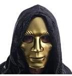 Anonymous Maske Gull