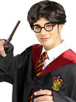 Harry Potter® Parykk