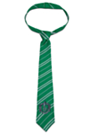 Harry Potter® Slytherin Barneslips