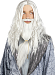 Harry Potter® Dumbledore Parykk & Skjegg