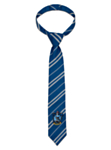 Harry Potter® Ravenclaw Barneslips