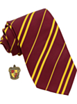 Harry Potter® Gryffindor Slips & Brosje