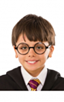 Harry Potter® Briller