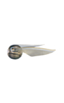 Harry Potter® Det Gylne Lyn