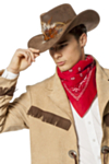 Cowboyhatt med Fjær