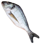 Kunstig Fisk