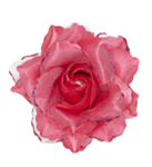 Glitter Rose Hårspenne Rosa