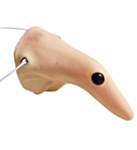 Heksenese