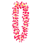 Hawaiikrans Rosa og Kremhvit